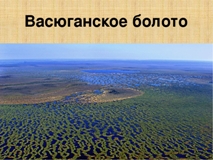 МИБС